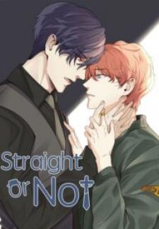 Straight Or Not Manga