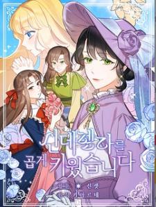 A Wicked Tale Of Cinderella's Stepmom Manga